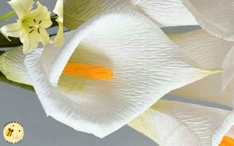 Gấp hoa bằng giấy nhún - Hoa lily