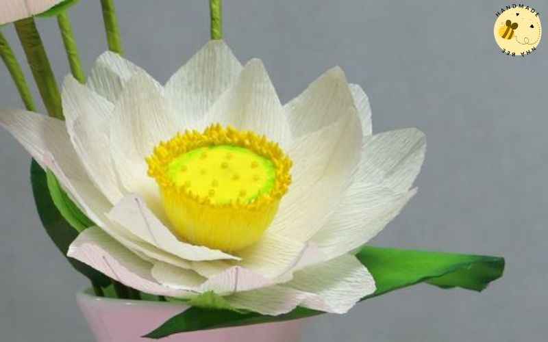 Gấp hoa bằng giấy nhún - Hoa sen